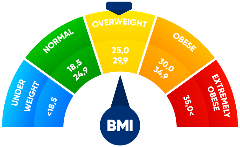 BMI Calculator free